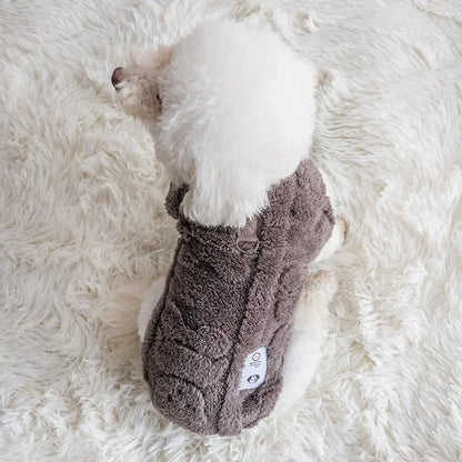 pull-pour-chien