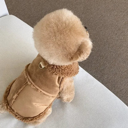 Vêtement en laine chaud pour chien