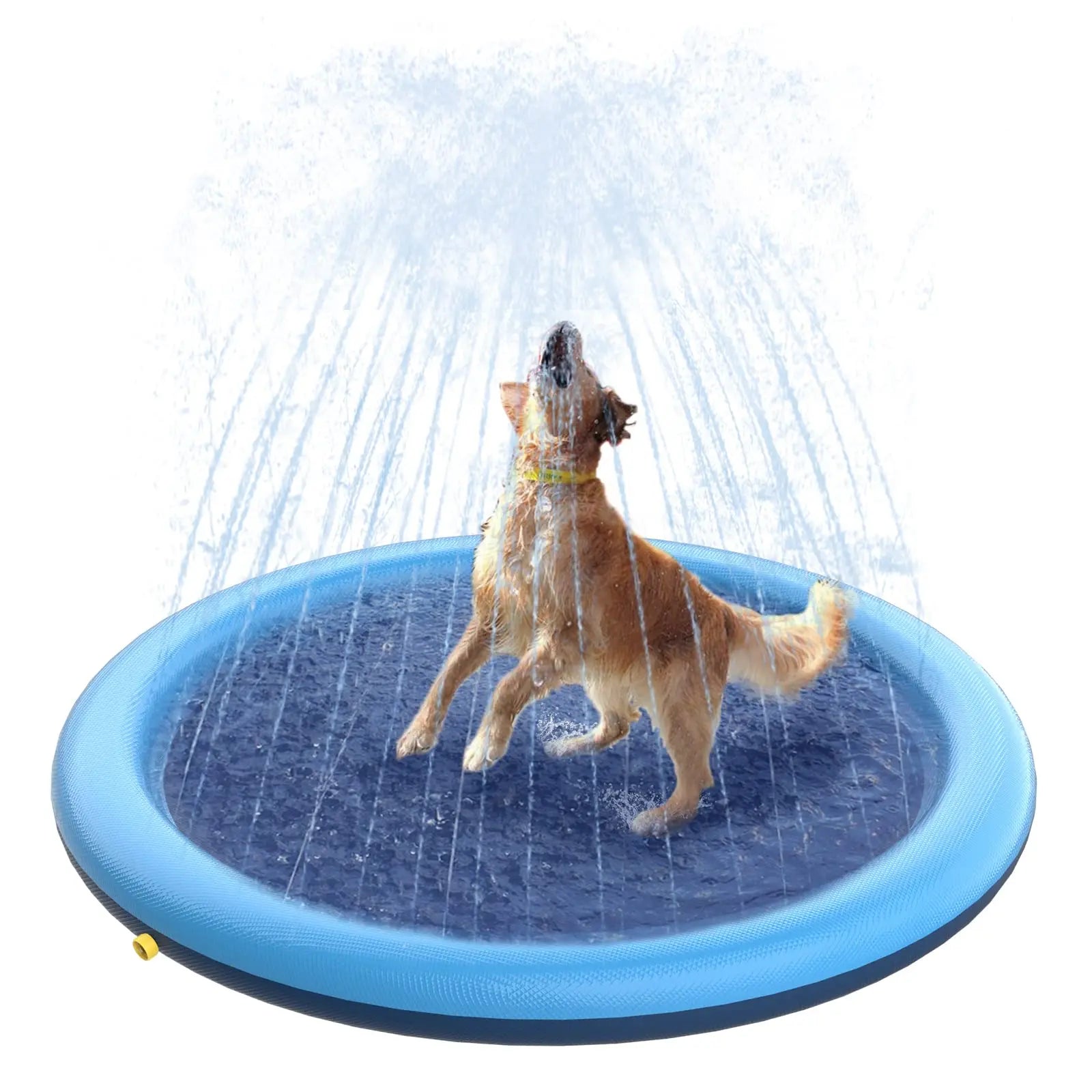 jouet-pour-chien