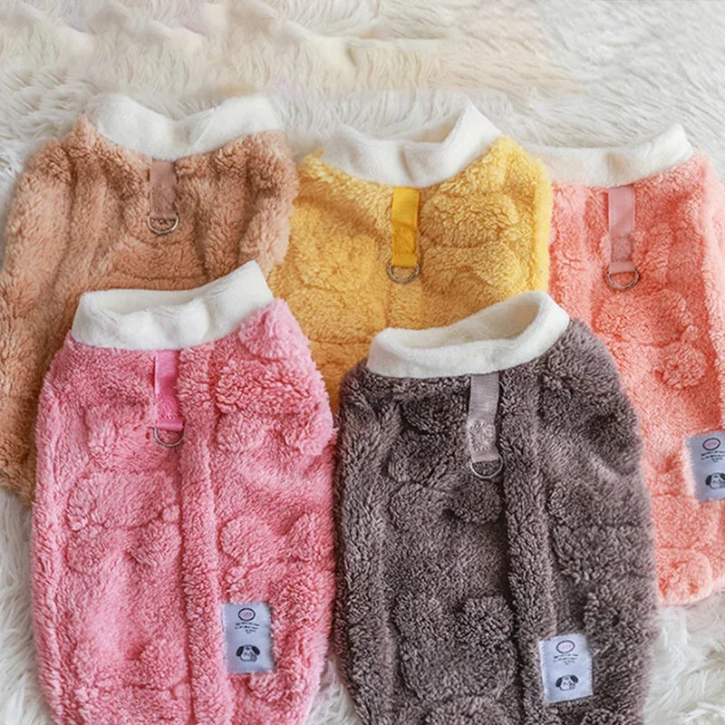 pull-pour-chien