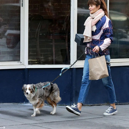 Laisse mains libres  pour chien