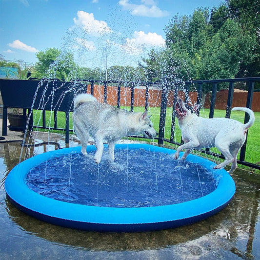 jouet-pour-chien