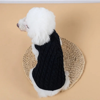 Pull-pour-chien