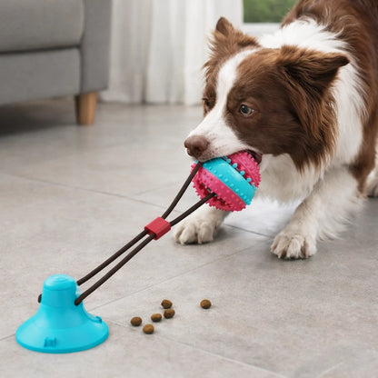 Balle pour chien à ventouse – Jouet interactif résistant pour l’occupation et le jeu