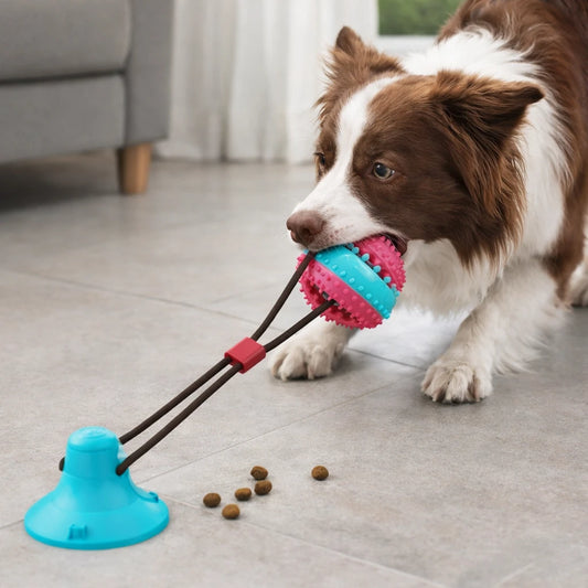 Balle pour chien à ventouse – Jouet interactif résistant pour l’occupation et le jeu