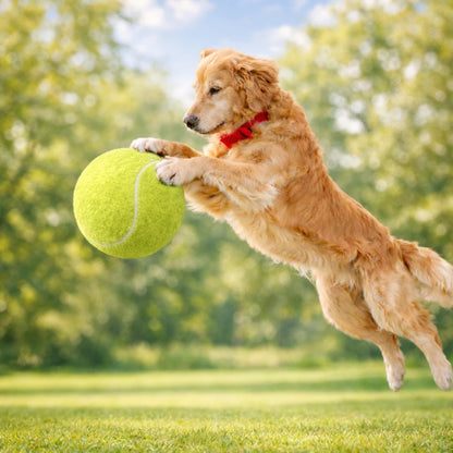 Balle de tennis géante 24 cm pour chien – Jouet interactif résistant et amusant