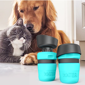 Bouteille-eau-chien-chat