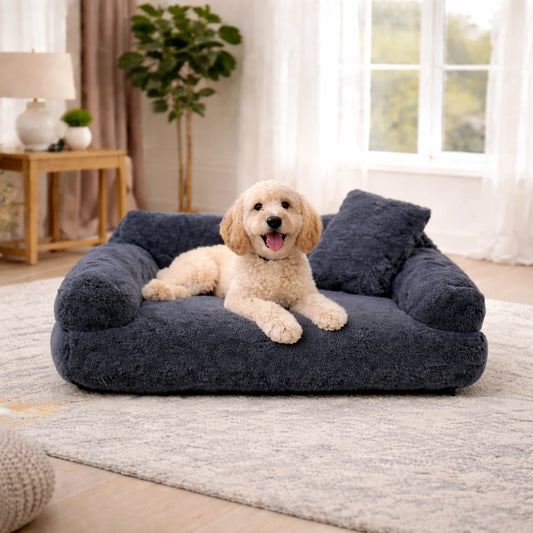 Chien sur canapé pour chien bleu en peluche