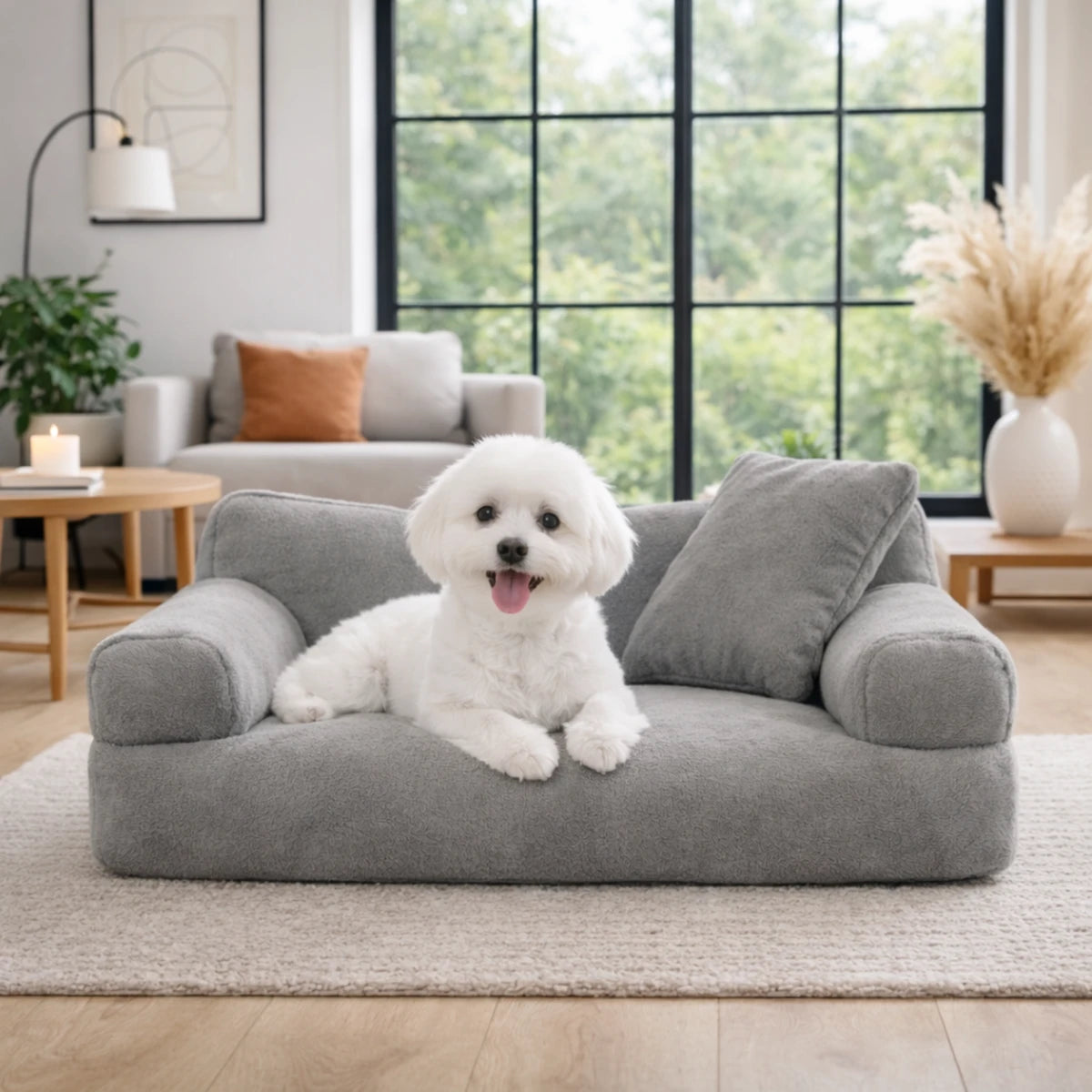 Petit chien blanc allongé sur un canapé gris en peluche dans un salon lumineux