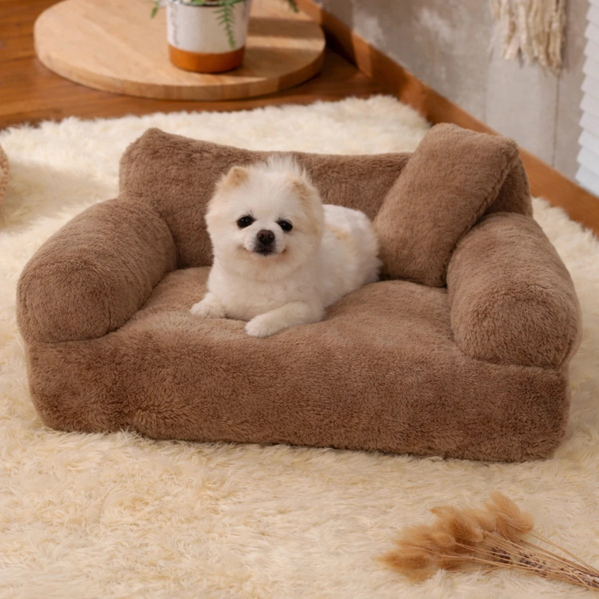 Petit chien blanc allongé sur un canapé beige en peluche dans un intérieur chaleureux