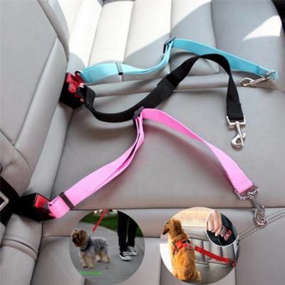  Ceinture de sécurité 