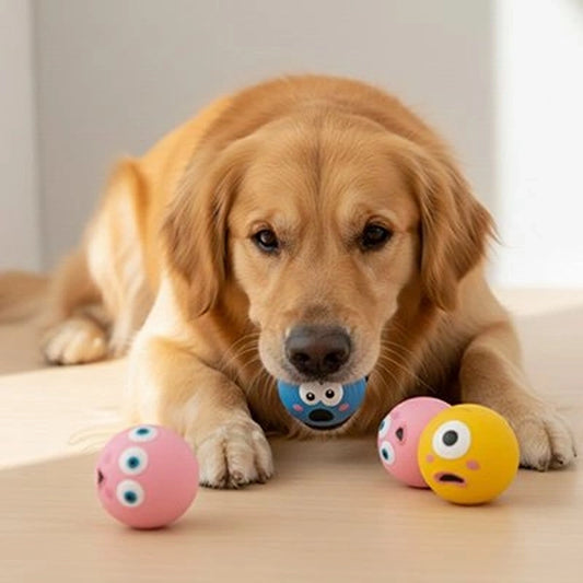 Chien allongé avec plusieurs balles anti-stress colorées pour chien
