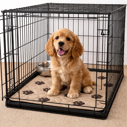 Chien dans une cage avec tapis absorbant antidérapant à motifs pattes