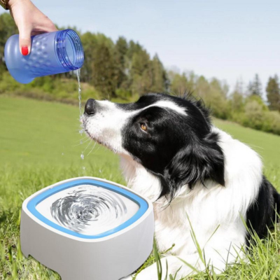 DogBowl™ | Gamelle d'eau - Anti Éclaboussures Bol eau chien Chienjoueur   