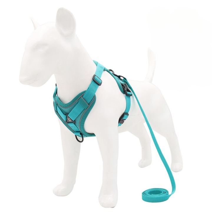 Easy Walk Harnais™ | Harnais anti-traction harnais chien Chienjoueur Cyan S 2-4 kg 