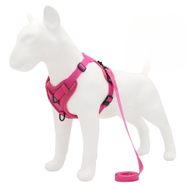 Easy Walk Harnais™ | Harnais anti-traction harnais chien Chienjoueur Rose S 2-4 kg 