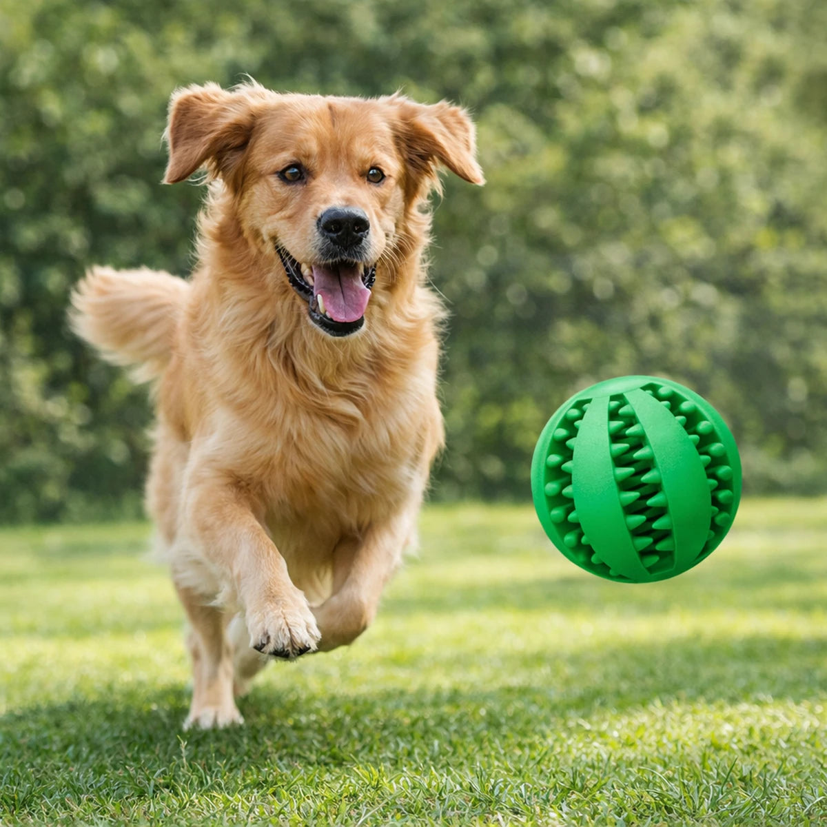 Chien courant dans un parc pour attraper une balle dentaire verte interactive