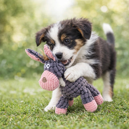 jouet peluche pour chien