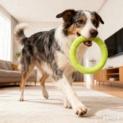Chien tenant un anneau jouet pour chien résistant à l’intérieur