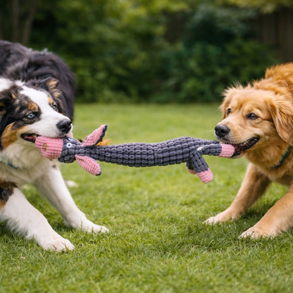 Deux chiens de taille moyenne tirant un jouet peluche âne résistant pour chien