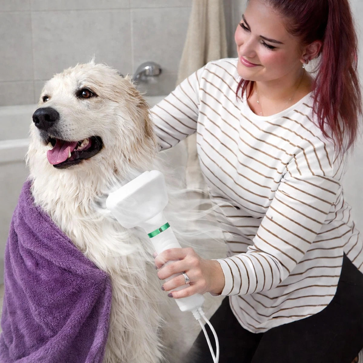 Brosse séchante pour poils de chien