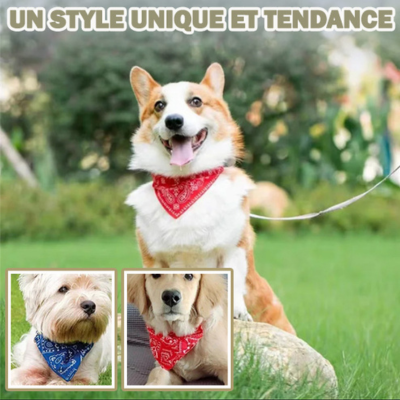 Élégant Bandana™ | Écharpe réglable