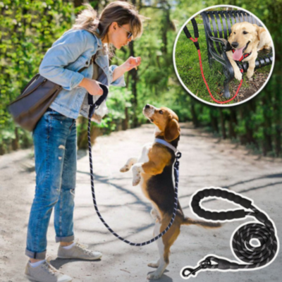 Laisse-pour-chien