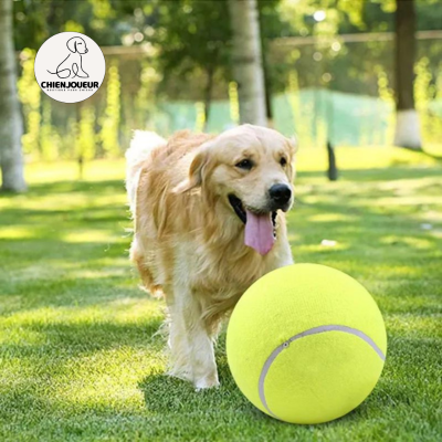 TennisBall™ | Balle de tennis géante balle de tennis Chienjoueur Balle de tennis géante | 24 cm Jaune 