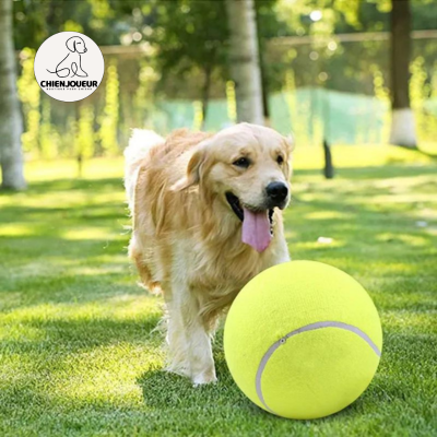 balle-pour-chien