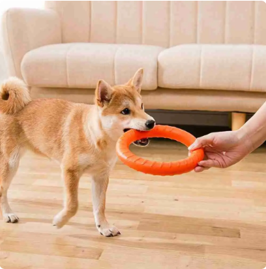 RingToys™ | Jouet interactif Jouet pour chien Chienjoueur Orange 28cm RingToys™  🎁 Carotte peluche + Oreiller peluche + E-Book offert 🎁