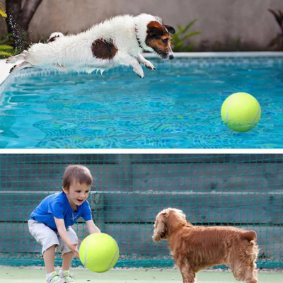 Balle-pour-chien   