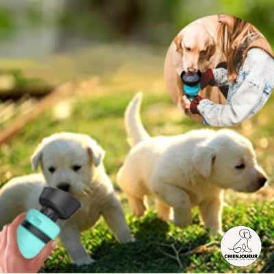 Bouteille-eau-chien