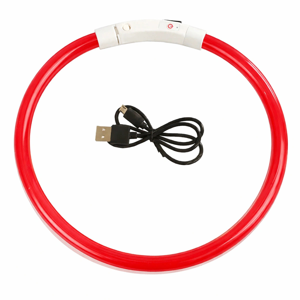 Collier lumineux LED rouge pour chien rechargeable – visibilité et sécurité nocturne