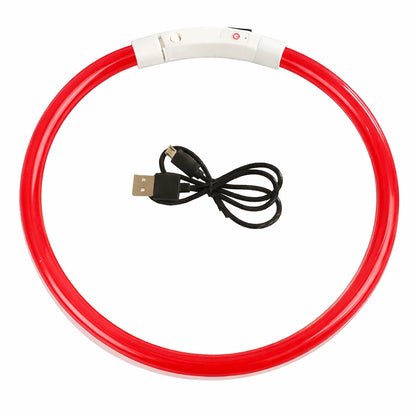 Collier lumineux LED rouge pour chien rechargeable – visibilité et sécurité nocturne