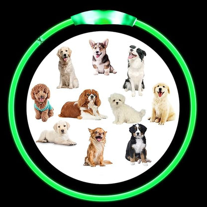 collier-lumineux-chien