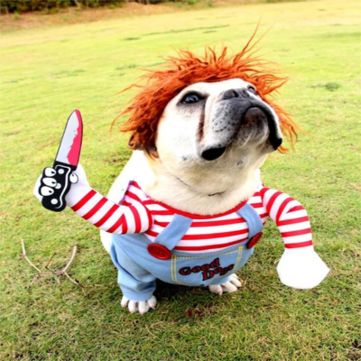 Costume-d'Halloween-chien