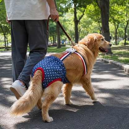 Couche pour chien​