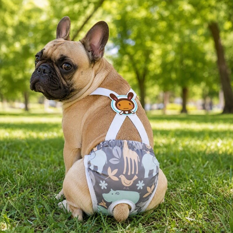 Couche pour chien​