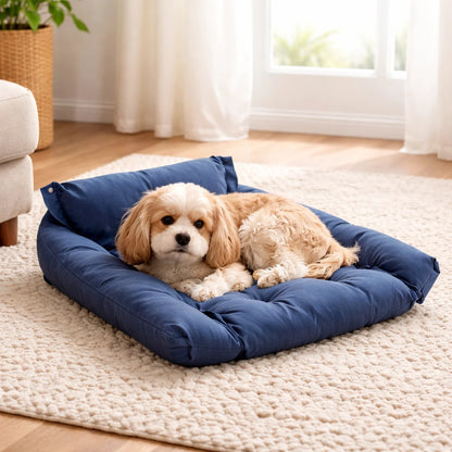 Chien confortablement installé sur un coussin pour chien bleu dans un salon avec tapis beige.