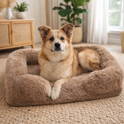 Chien moyen couché dans un coussin pour chien sur tapis tressé beige.