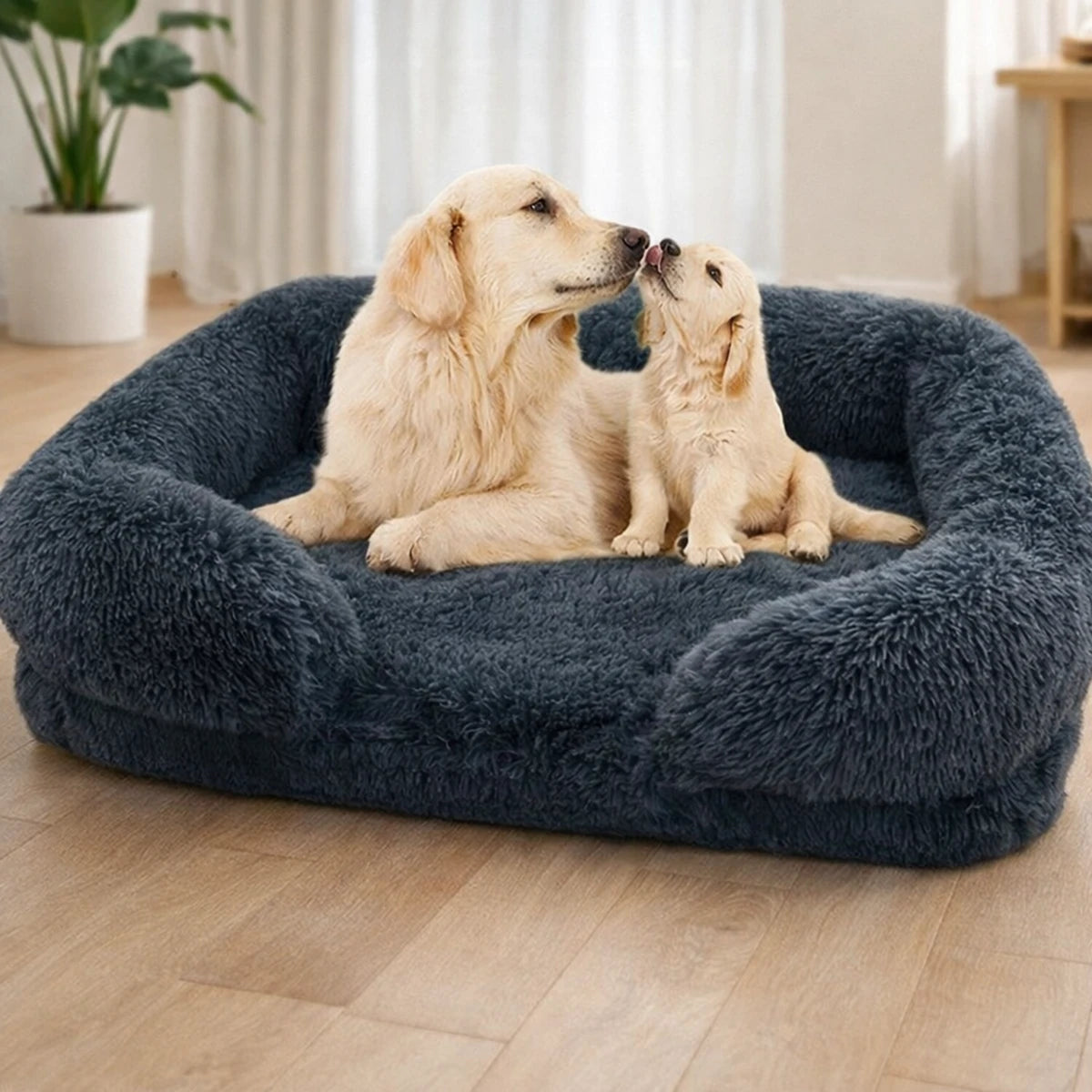 Chien adulte et chiot reposant ensemble sur un coussin pour chien en peluche dans un salon lumineux