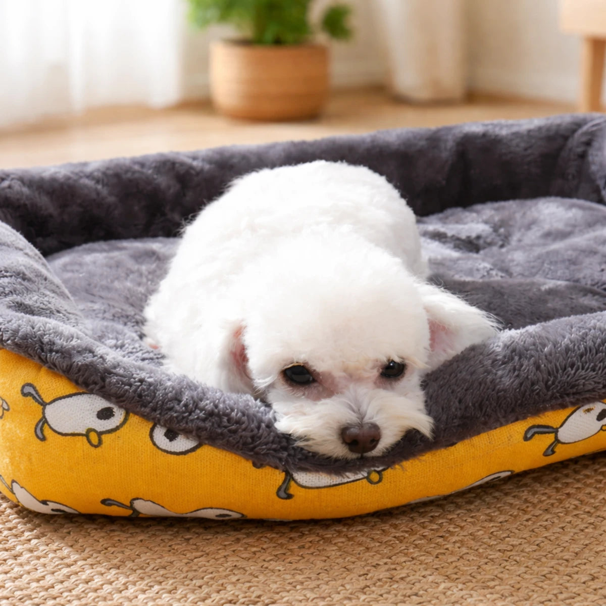 Chien allongé sur coussin pour chien en peluche douce et confortable