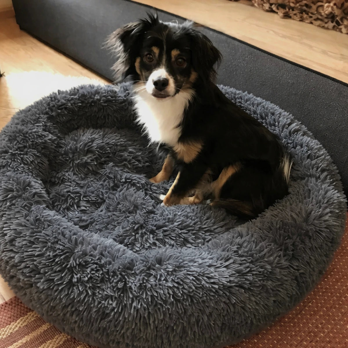 Chien assis dans un coussin rond en peluche gris, lit confortable pour petit chien