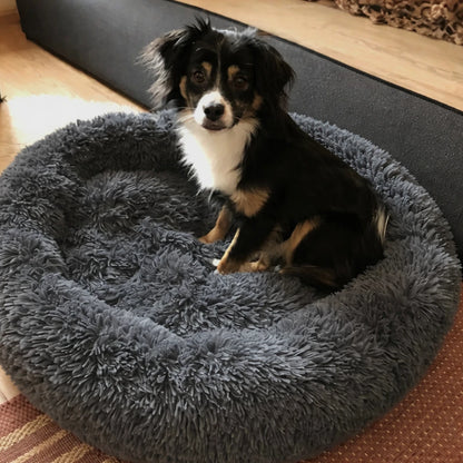 Chien assis dans un coussin rond en peluche gris, lit confortable pour petit chien