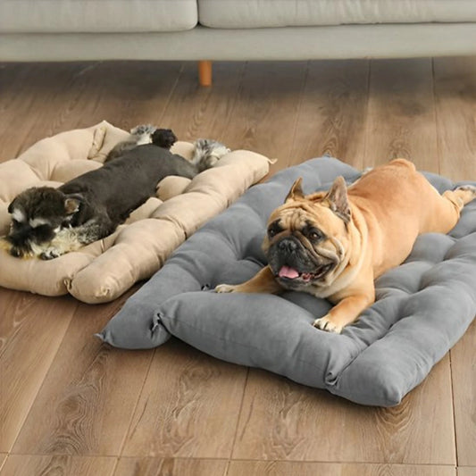 Chien allongé sur un lit coussin moelleux et confortable pour chien à l’intérieur
