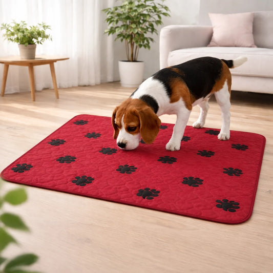 Chien reniflant un tapis de propreté lavable pour animaux à l’intérieur