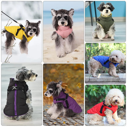 Manteau-d'hiver-pour-chien