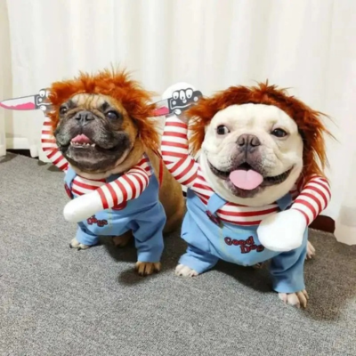  Costume-Halloween-chien