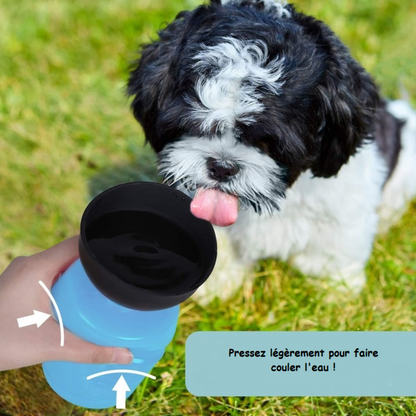 bBouteille-eau-chien-bleu