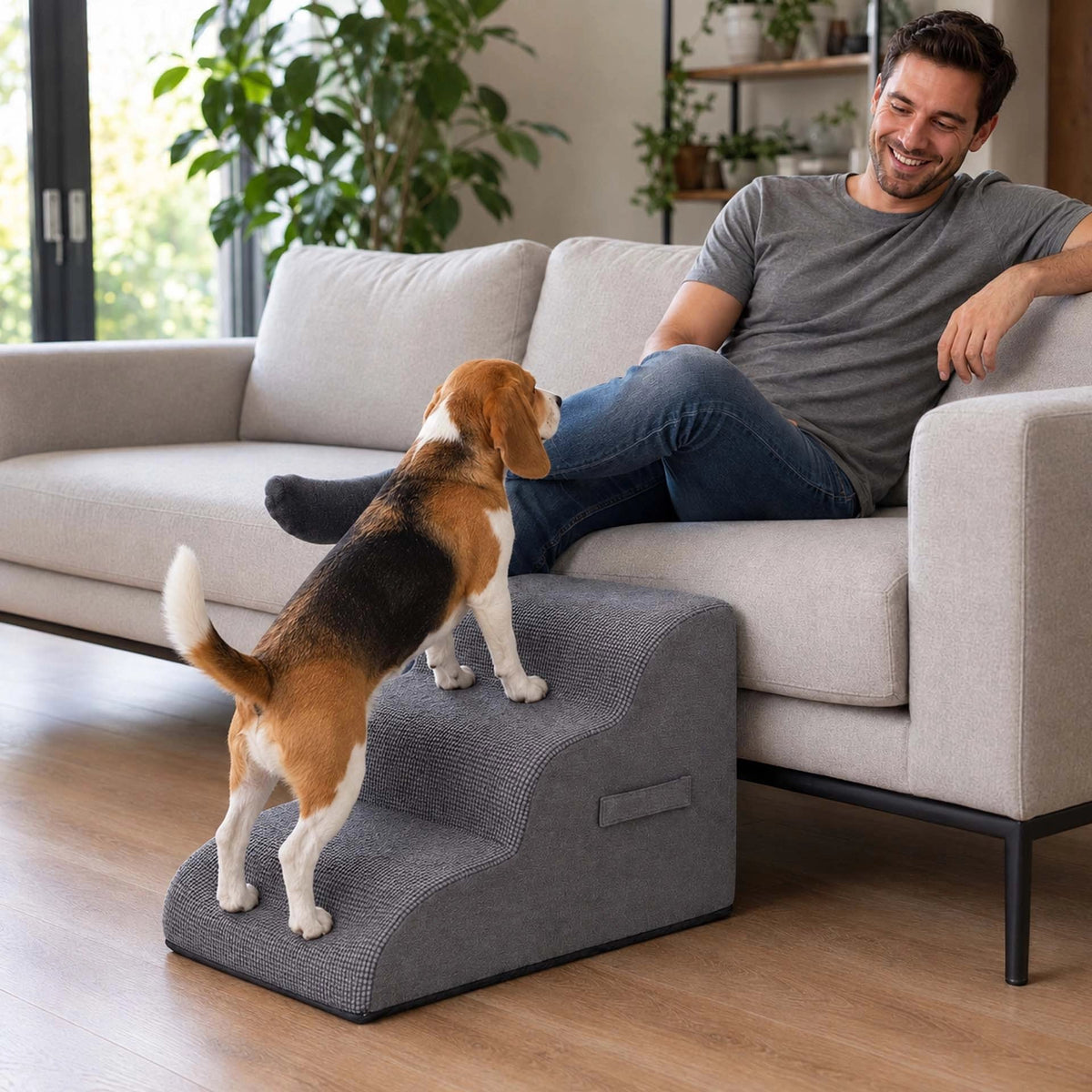 Escalier pour chien